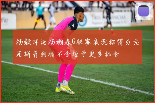 杨毅评论杨瀚森G联赛表现称得分无用斯普利特不会给予更多机会